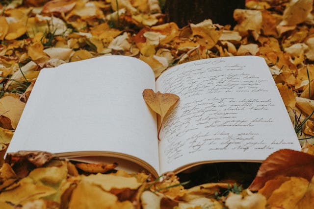 social media storytelling